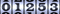 Web Page Counter
