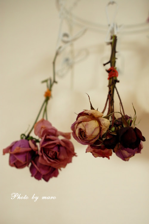 バラを使ったドライフラワーの作り方 初心者でも簡単 ラディーチェ