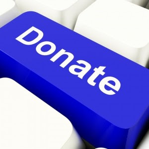 The Fundraising Plugin from WPMU DEV