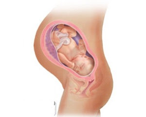 Está grávida de 38 semanas – já só faltam 14 dias!