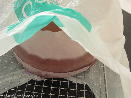 Genoise sponge