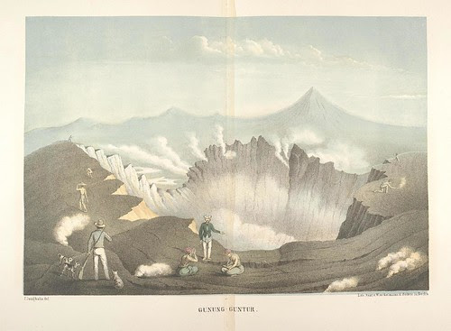 Java seine Gestalt, Pflanzendecke und innere Bauart 1857 (Junghuhn) f