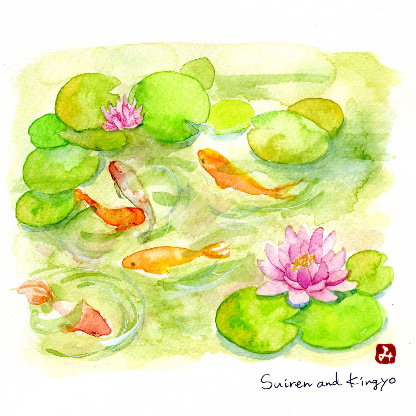 睡蓮と蓮の花 Mi Gallery 水彩絵日記