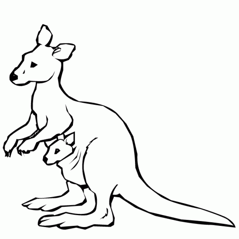 Download Free Kangaroo Pictures To Color, Download Free Clip Art ...