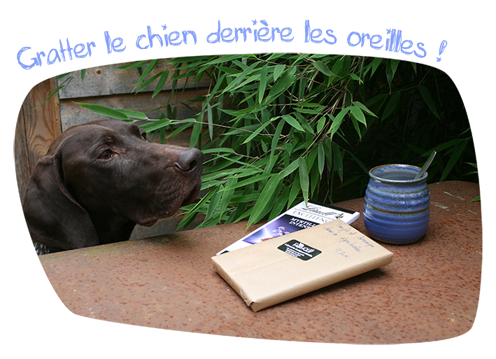 Joker pour une rentrée avec le sourire