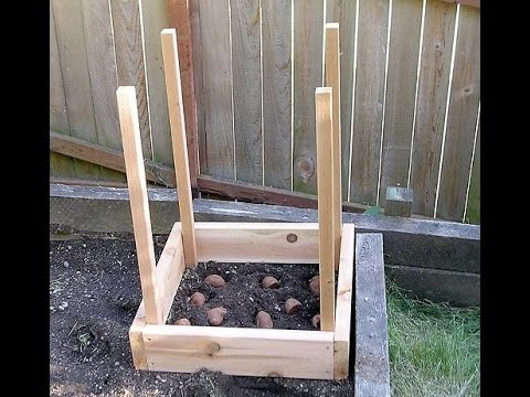 How to Build a Potato Tower - Square Box Vertical Potato Tower