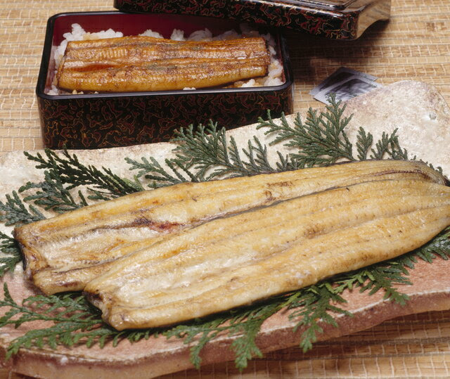 うなぎの白焼きおいしいーーーッ ジャイアントはばの部屋 楽天ブログ