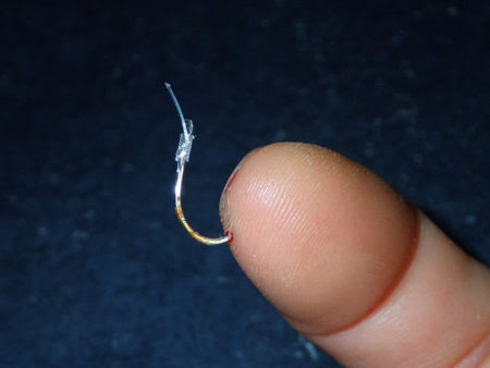 釣り鈎が刺さった時の対処法と そこから考えてほしいこと ざざむし