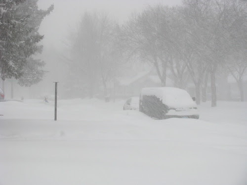 Blizzard