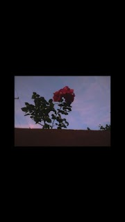 17+ Black Aesthetic Wallpaper Pinterest, Untuk Mempercantik Ruangan