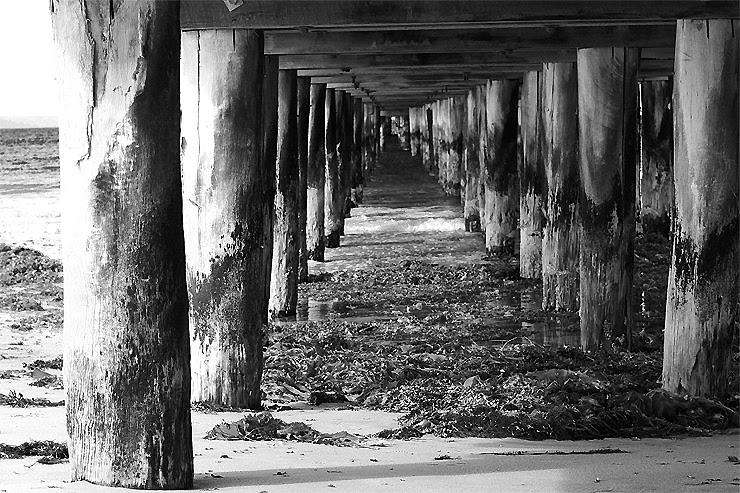 Queenscliff #4