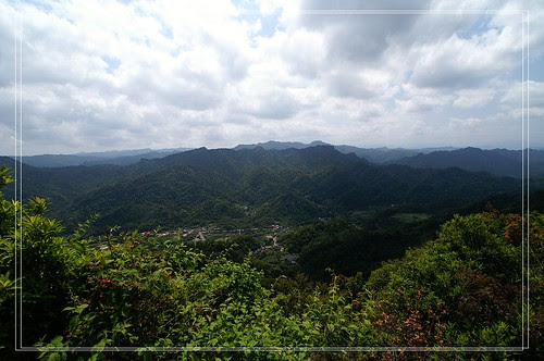PICT5273