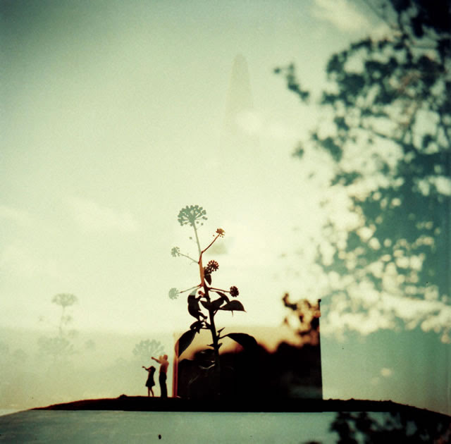 New Audiogram Premium Tk From 凛として時雨 Film A Moment Interview