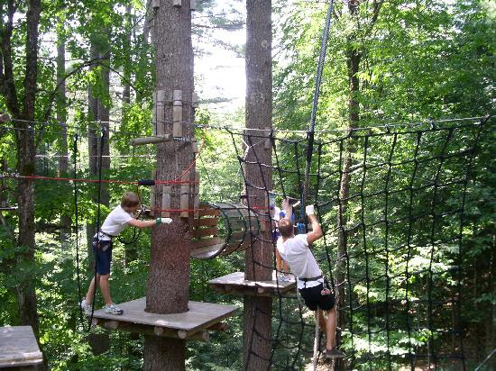 One obstacle - Picture of Adirondack Extreme Adventure ...