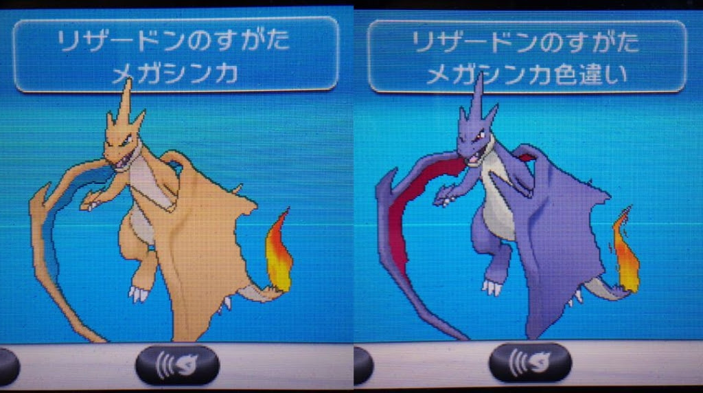最新 メガリザードンy 色違い