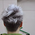 Ash Grey Long Hair Men : Ash Grey Long Hair Men : Pin On Hairstyles - It's by doing ... / Long hairstyles ideas for older men 2.