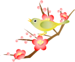 鶯 ひなたぼっこ