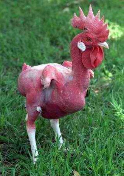 Acid Picdump (143 pics) Acid Picdump (143 pics)
