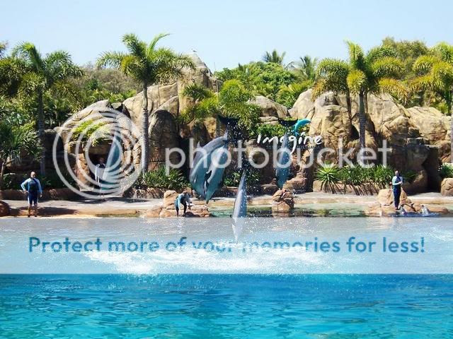 Photo Sharing and Video Hosting at Photobucket