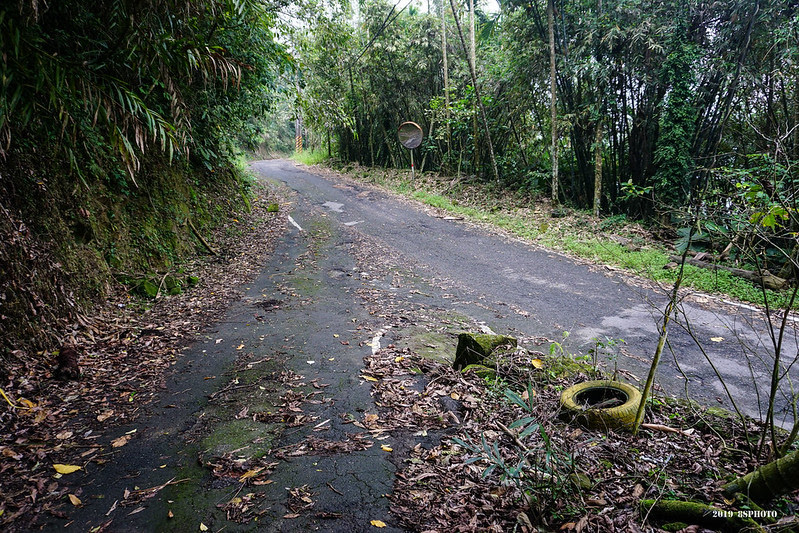 DSC07419