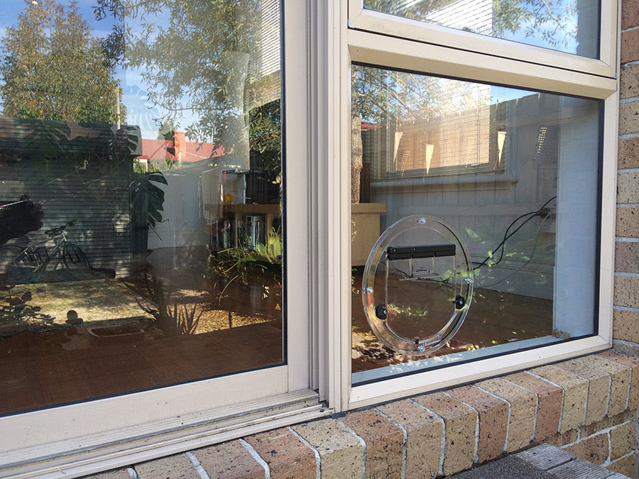 Dog Doors Melbourne | Affinity Glazing
