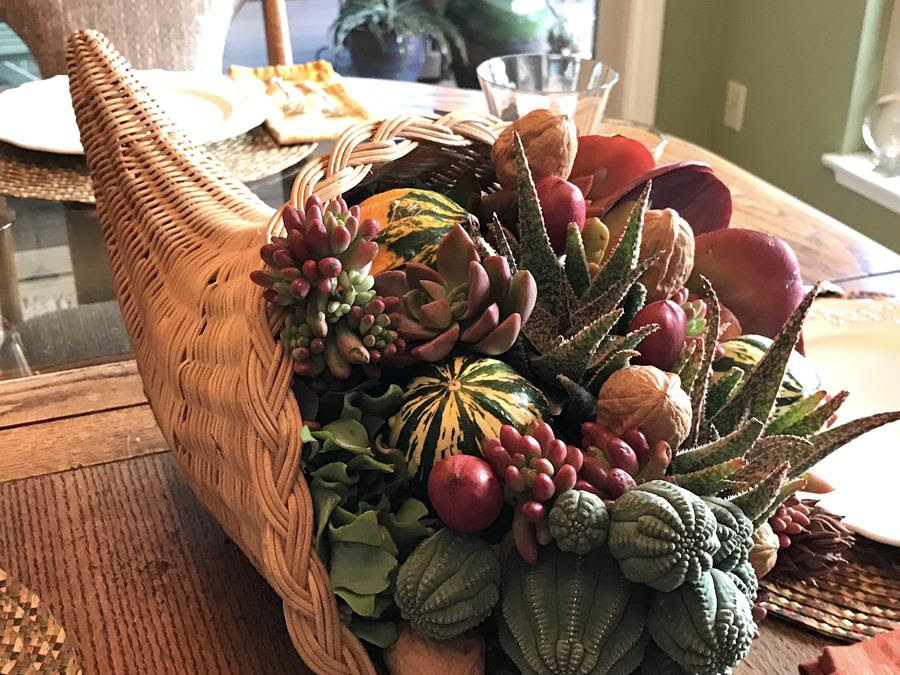 Debra Lee Baldwin's Succulent Cornucopia