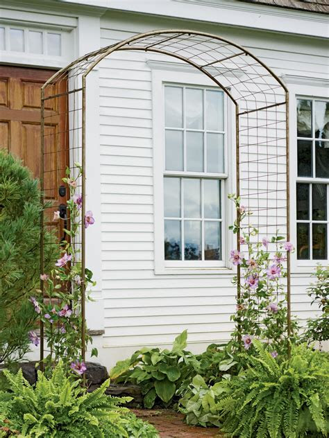 Individuals in the northeast have three timing options for planting grass seed. Climbing Plant Trellis That Will Give Your Garden A