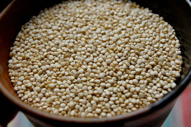 Quinoa by Eve Fox, Garden of Eating blog, copyright 2008.