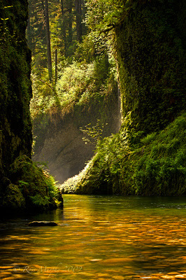 Spring in the Gorge