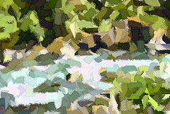 Water Mosaic
