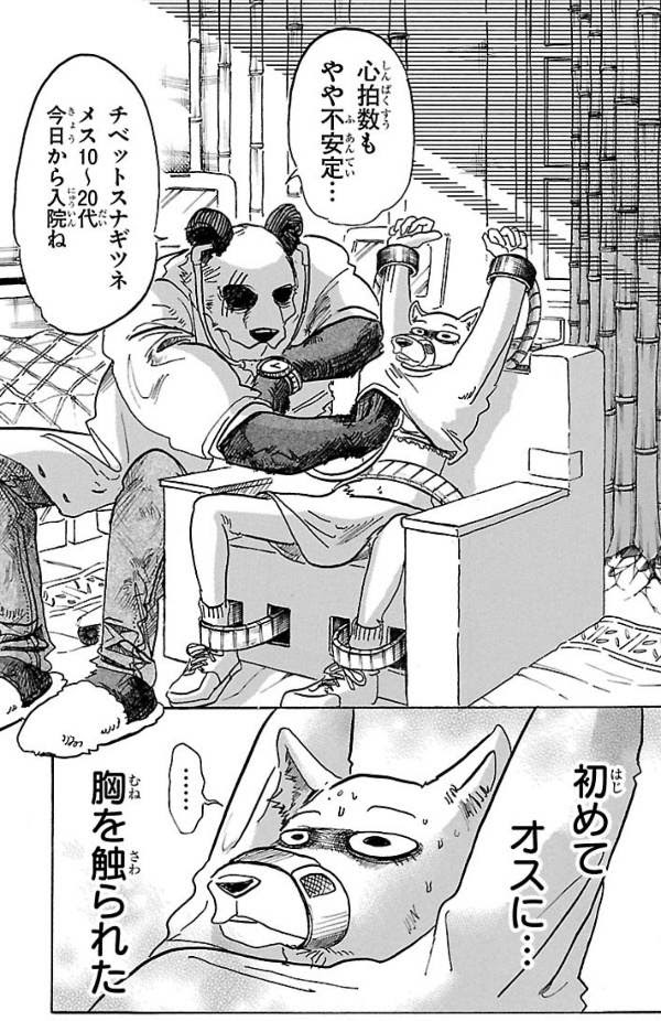 ビースターズスハルちゃんだして