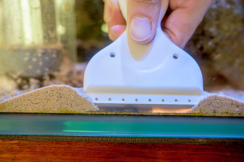 プロが教える水槽の掃除方法 Glosso