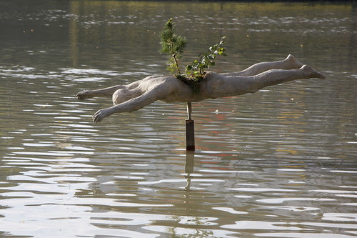 Dry swimmer? by Boris Mitendorfer Photography