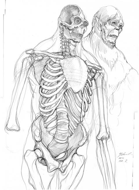 獣の巨人の骨格図 Studio D Arte Corvo