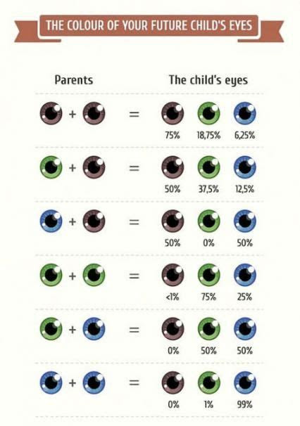 Even an eye color chart can't tell you with 100 percent certainty. eye color chart percentage 63 ideas eye color chart eye color chart