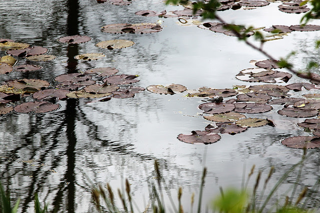Monet-Giverny7
