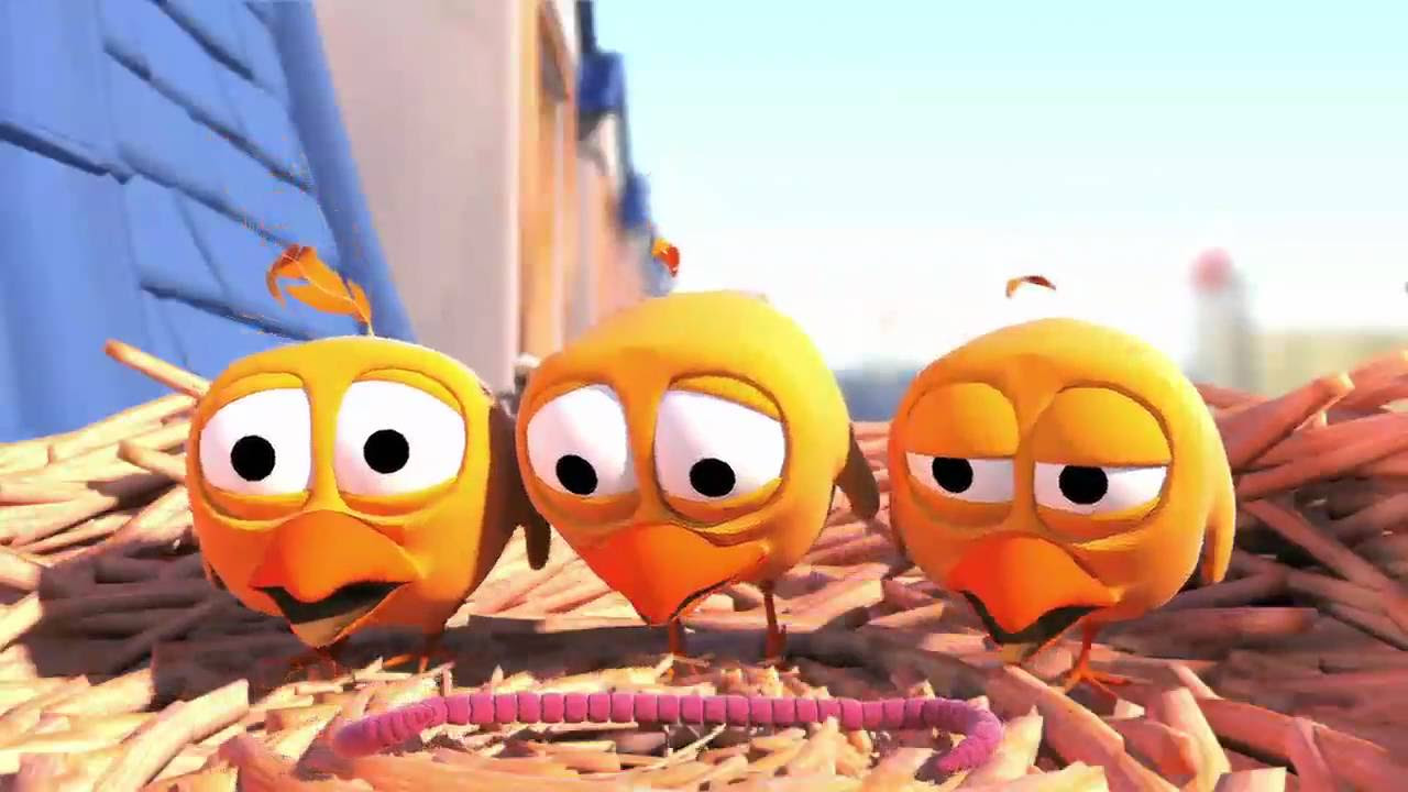 Pigeons Cute animation cartoon YouTube