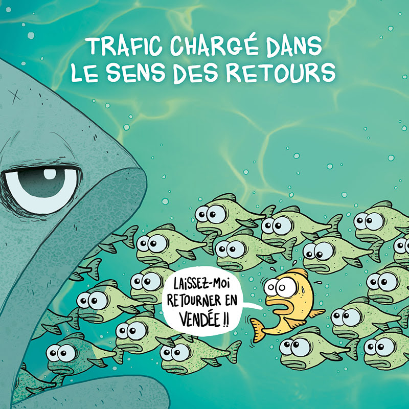 Carte Postale Poisson En Vacances Vend1