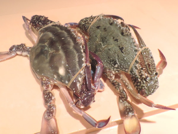 ワタリガニ ガザミ科 の蒸し方 親方の隠し部屋