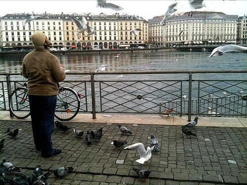 man feeding pigeons in Geneva
