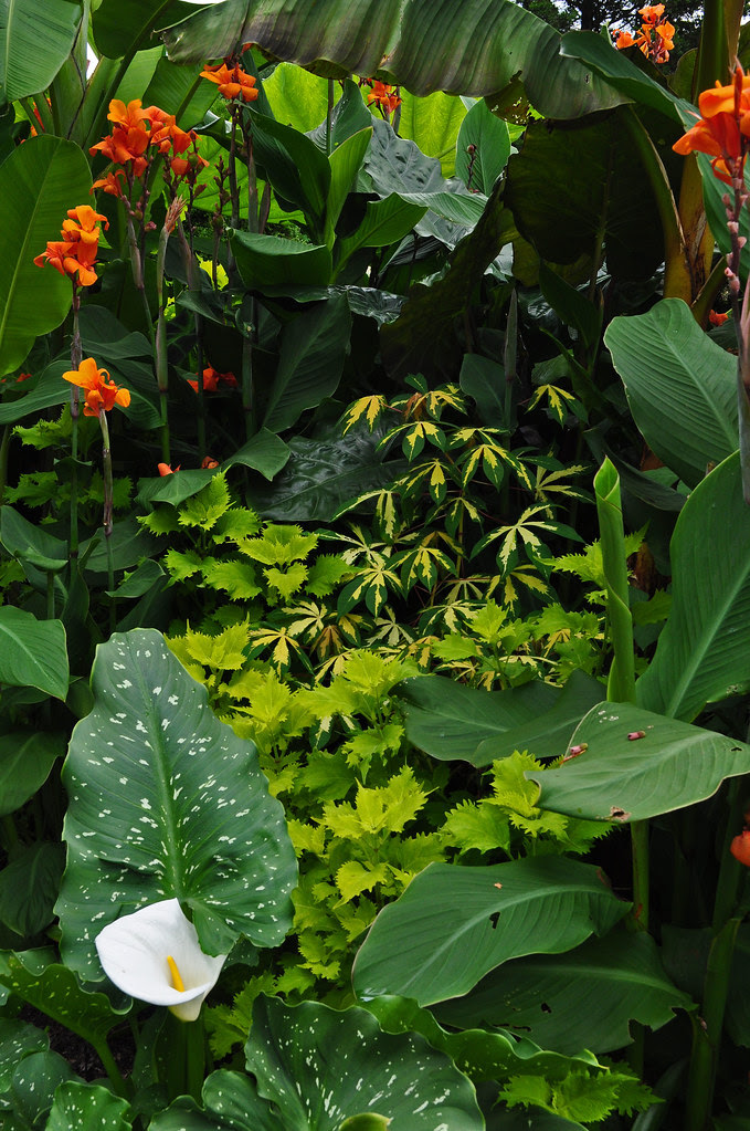 Student Exhibition Garden (5)