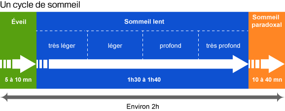 Combien dde sommeil profond par nuit