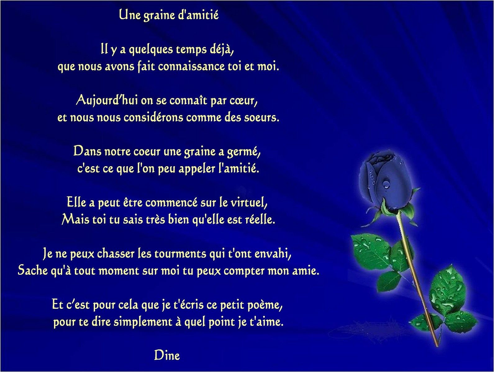 Une Graine D Amitie Mes Paroles En Maux