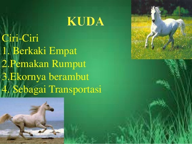 Binatang berkaki empat 1 Binatang berkaki empat 1