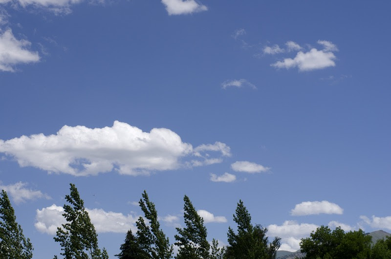 bJul132011_1705