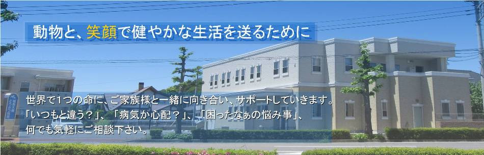 城南大橋どうぶつ病院 群馬県高崎市にある城南大橋どうぶつ病院のホームページです
