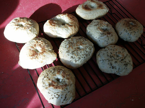 Moody Bagels