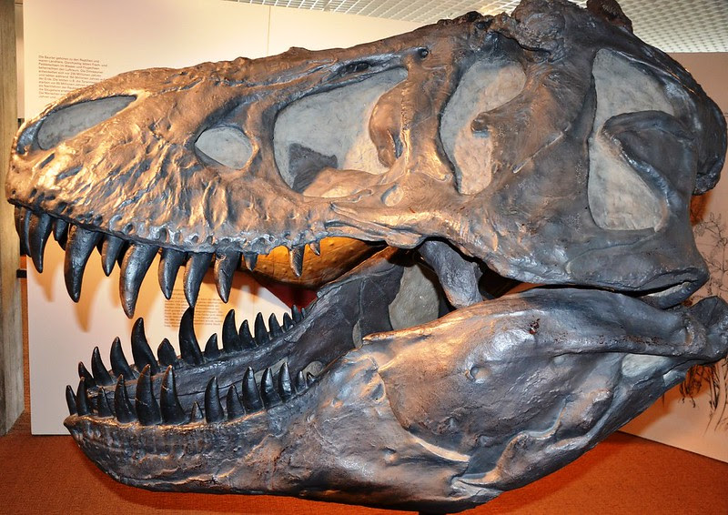 Dinosaur
