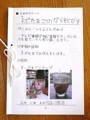 酢と卵の実験の自由研究 まとめが完成 ちびむすブログ