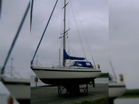 Contest 34 CS for sale - Daily Boats Buy, Review, Price ...